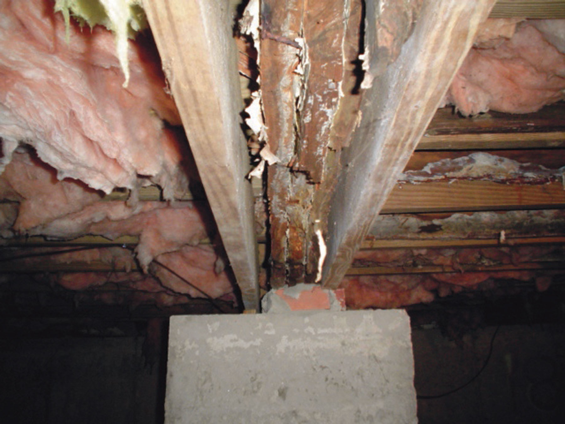 Rotting wood in crawl space