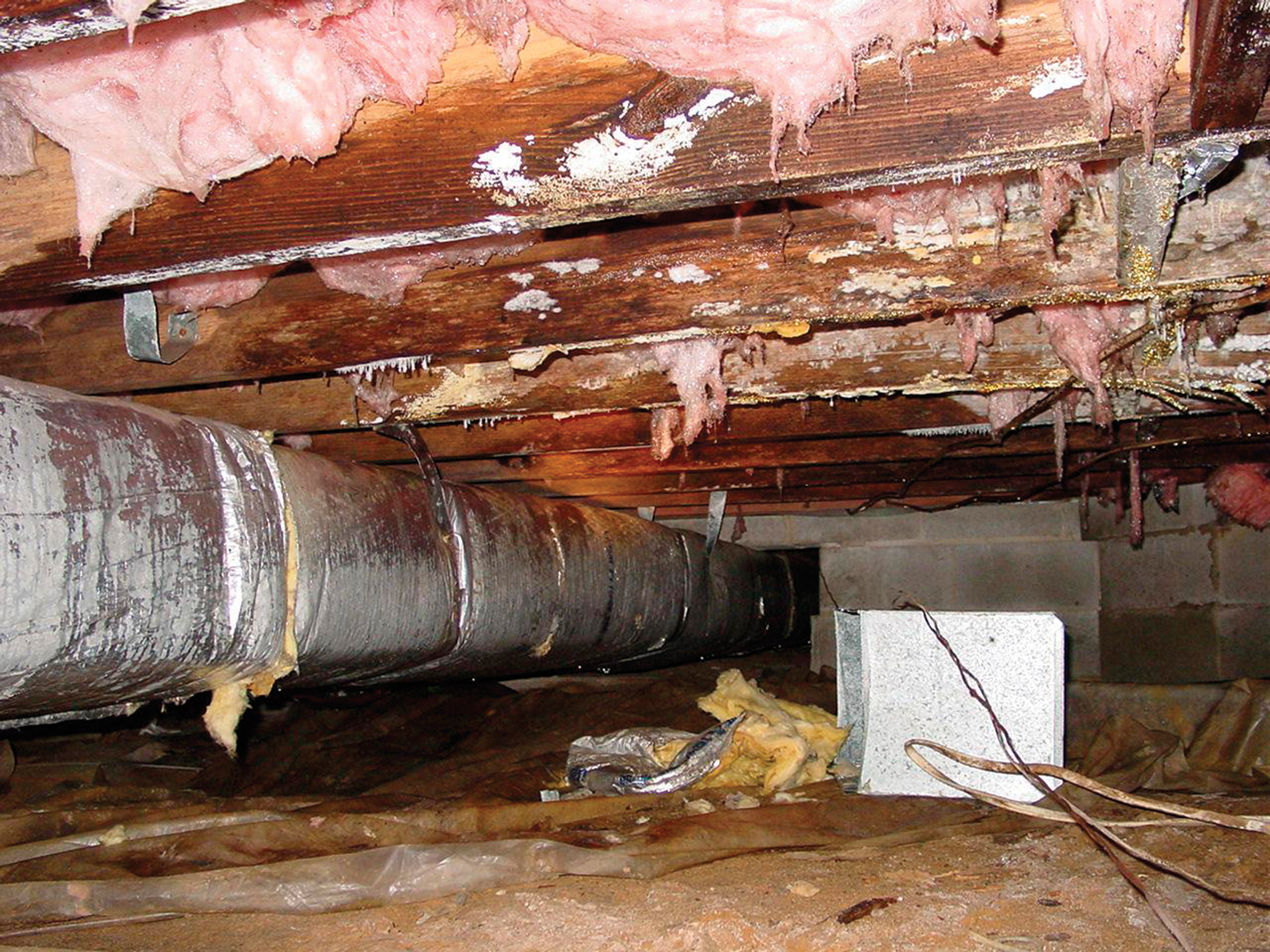 Why does your crawl space matter - Image 3